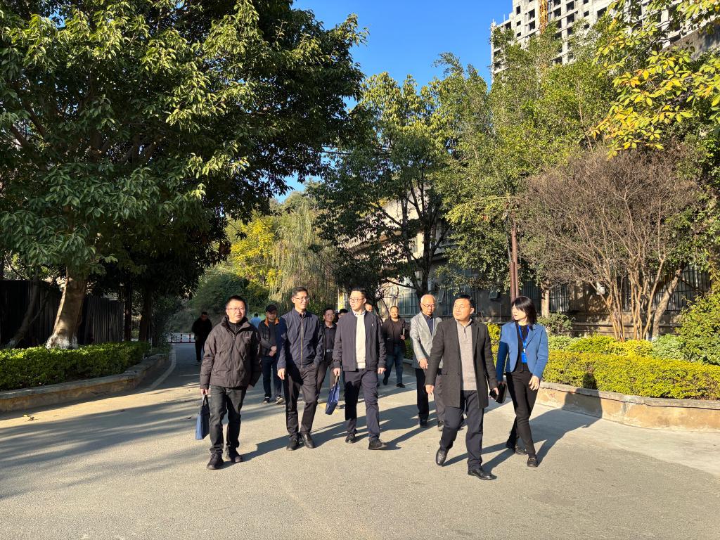 xcsport体育官方线路