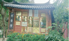 xcsport体育直播