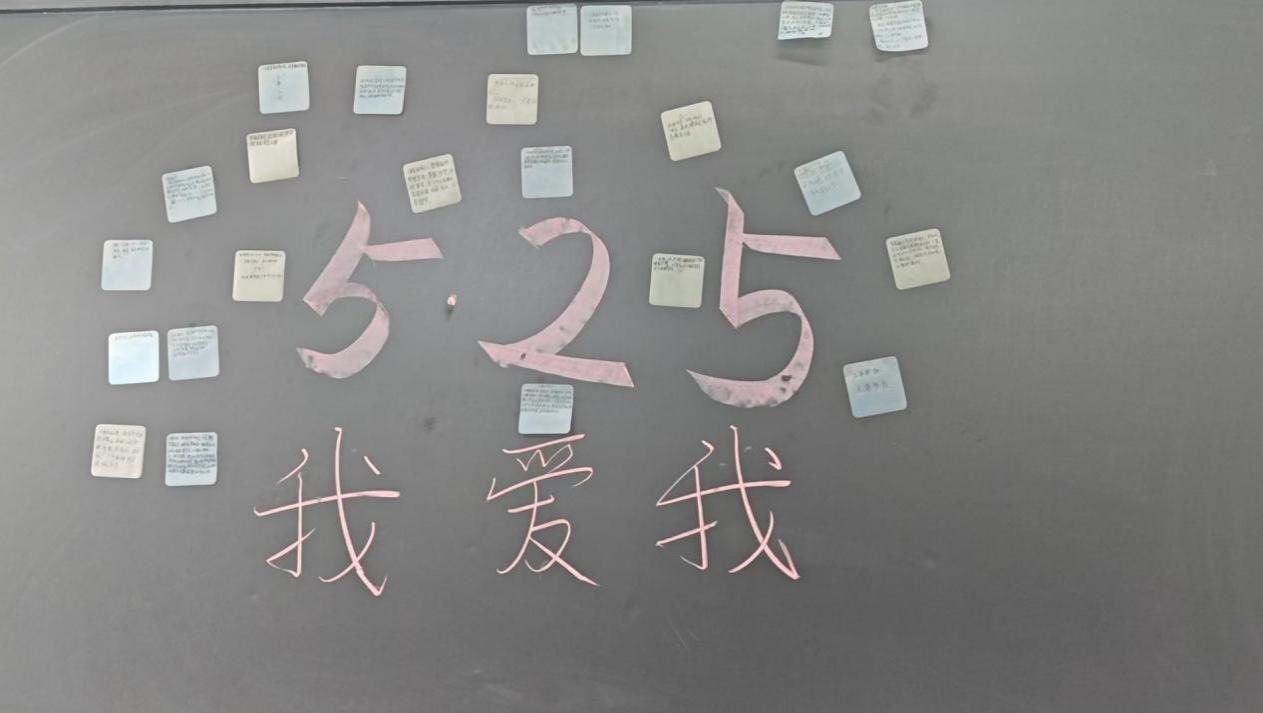xcsport体育平台