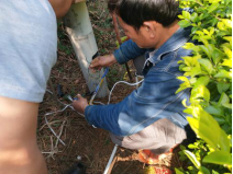 xcsport体育加速节点