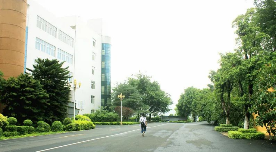 xcsport体育官方指定端