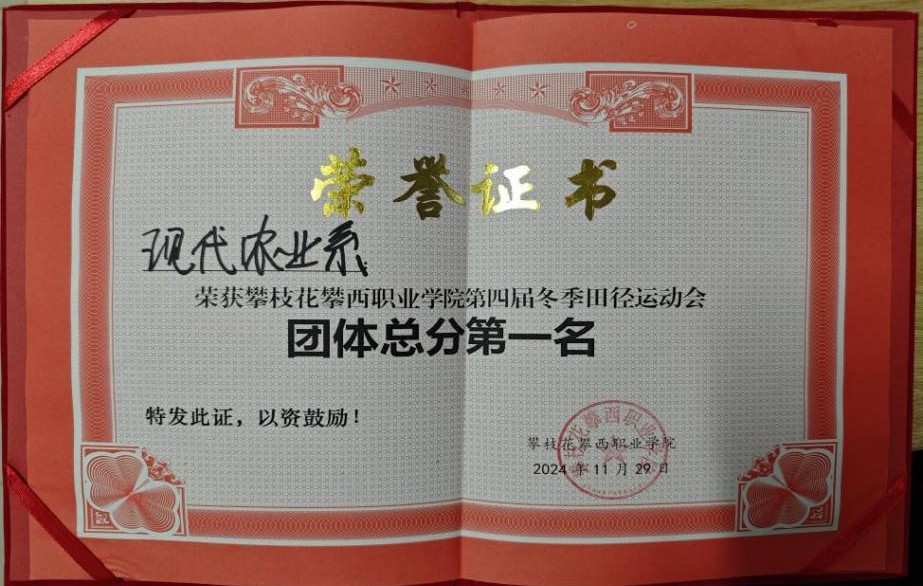 xcsport体育平台