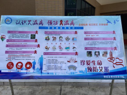 xcsport体育备用网址