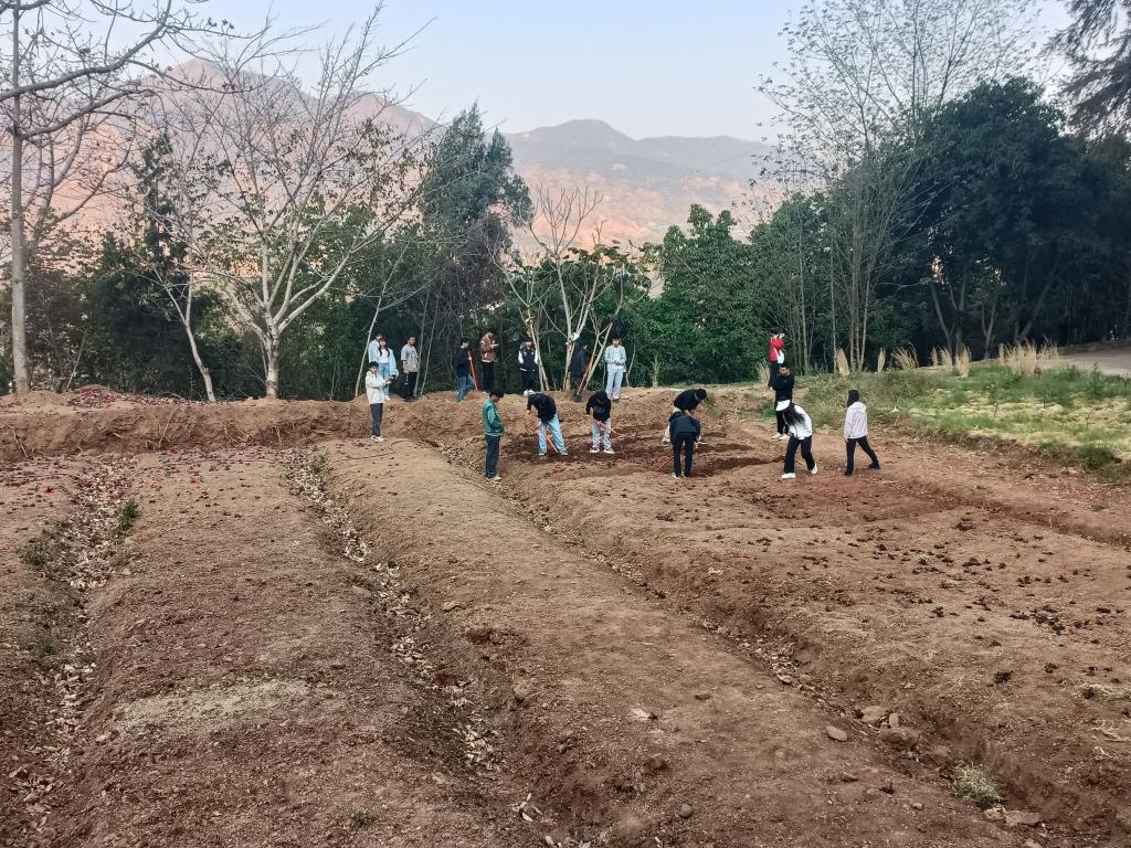 xcsport体育官方指定端