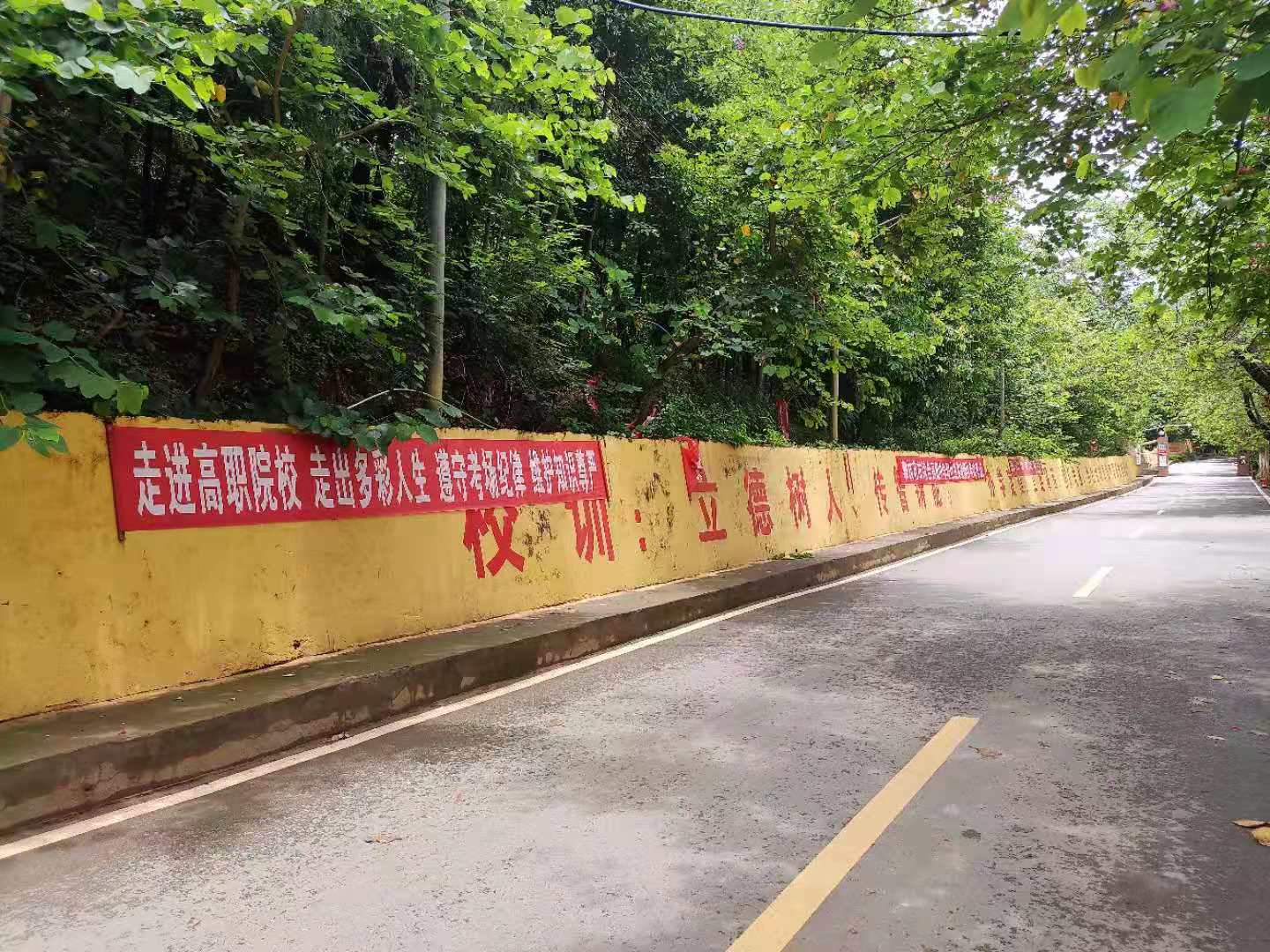 xcsport体育官方指定端