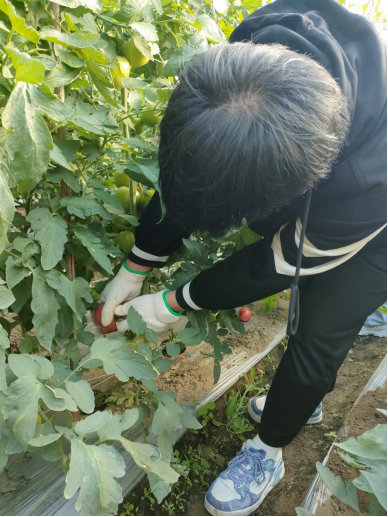 xcsport体育欧洲杯