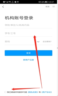 xcsport体育直播