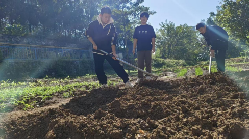 xcsport体育指定通道