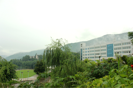 xcsport体育赛事资讯平台