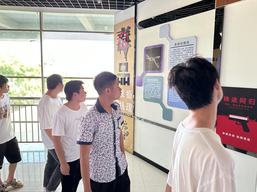 xcsport体育官方线路