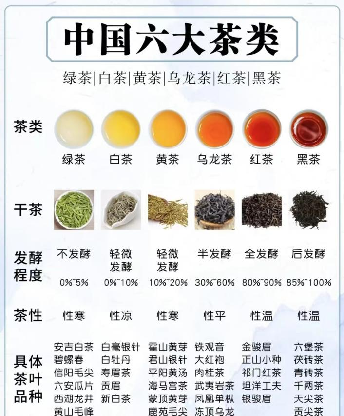 xcsport体育备用网址