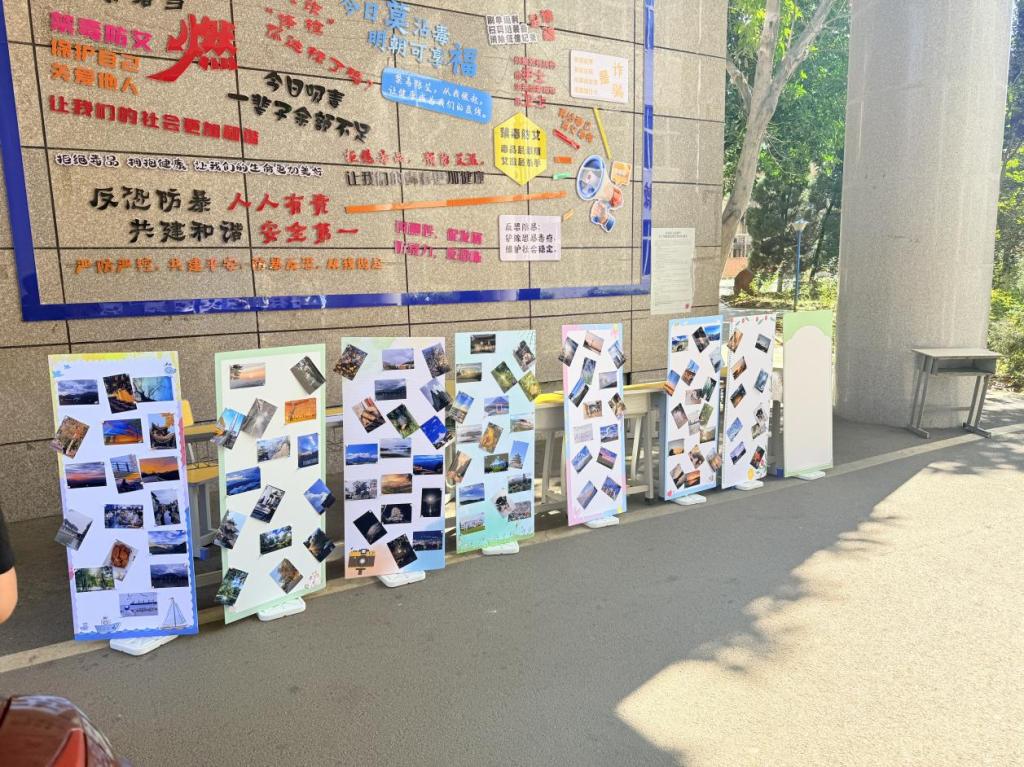 xcsport体育平台